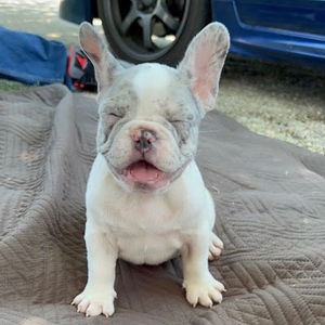 Meet your Posher, Eli